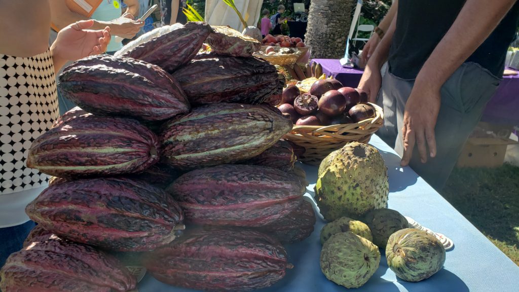 Chocolate Garden 2020