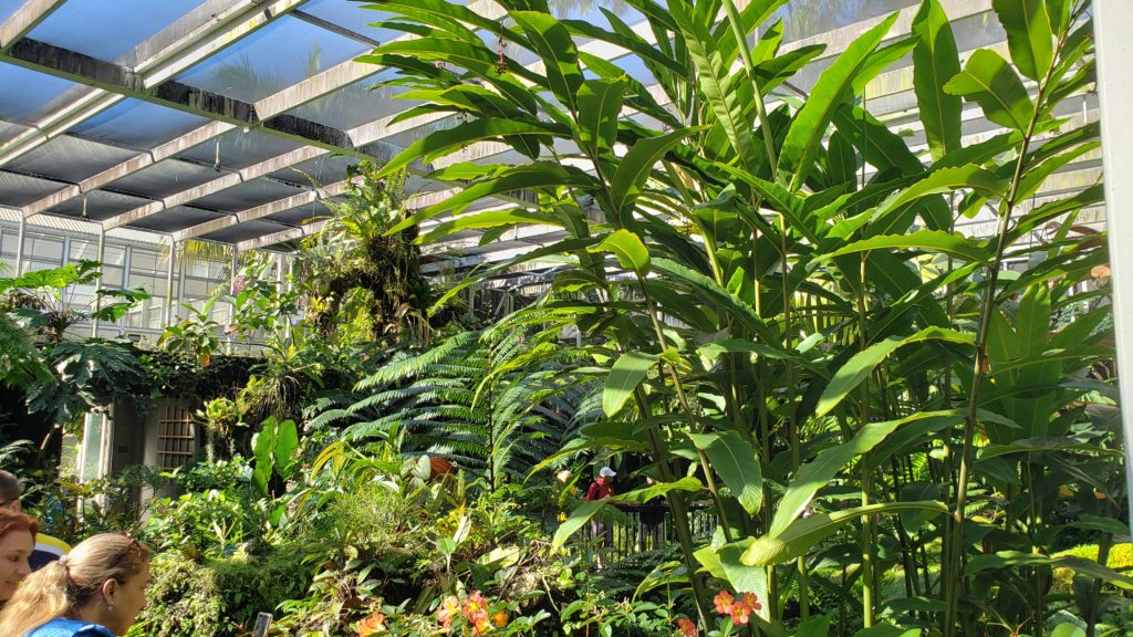 Chocolate Garden 2020